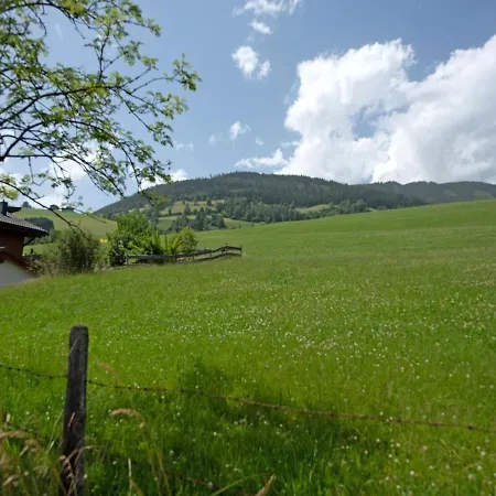 Snug In Walchen Near Niedernsill Swimming Lake Angerberg (Salzburg)